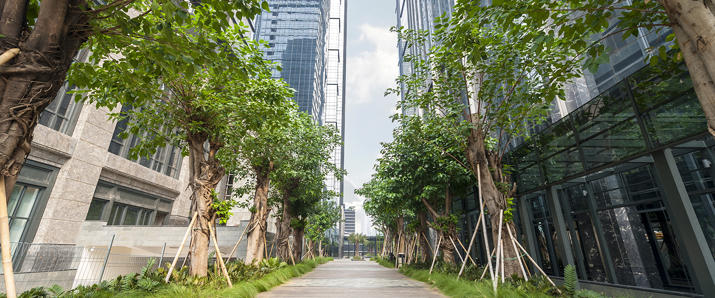 URBAN PARK WITH BODHI TREES